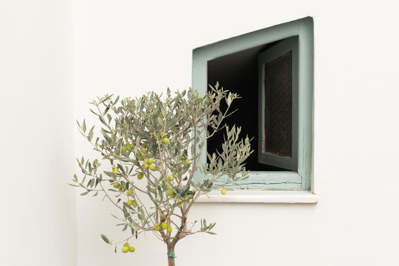 Central5 Boutique Apartments With Common Garden Next To Metro Athens Ngoại thất bức ảnh